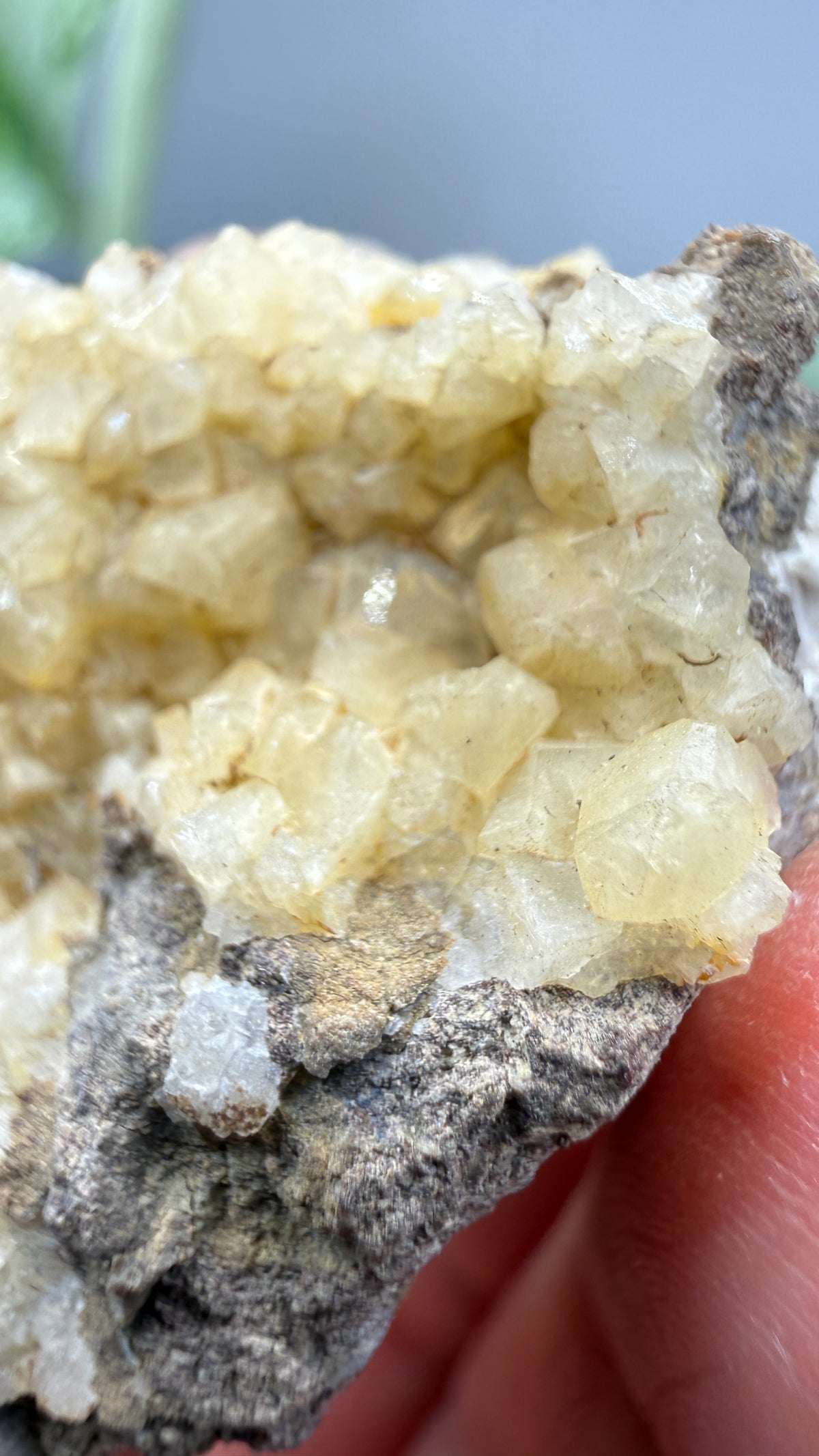 Chabazite- Table Mountain, near Rosarito Beach, Baja California, Mexico