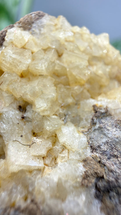Chabazite- Table Mountain, near Rosarito Beach, Baja California, Mexico