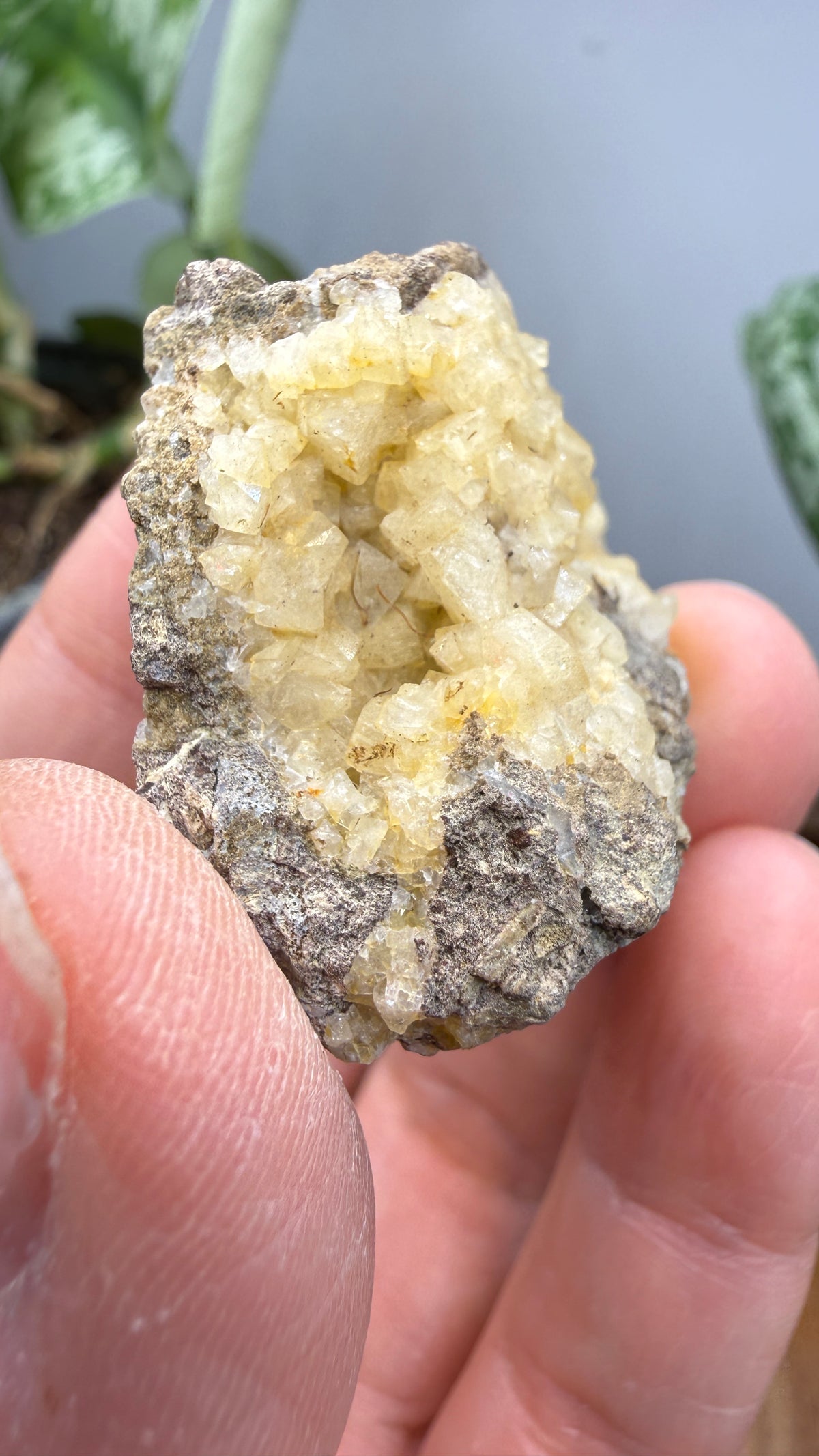 Chabazite- Table Mountain, near Rosarito Beach, Baja California, Mexico