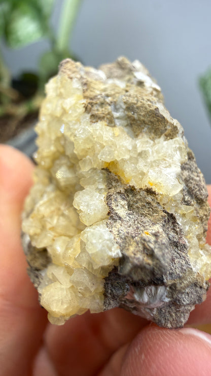 Chabazite- Table Mountain, near Rosarito Beach, Baja California, Mexico