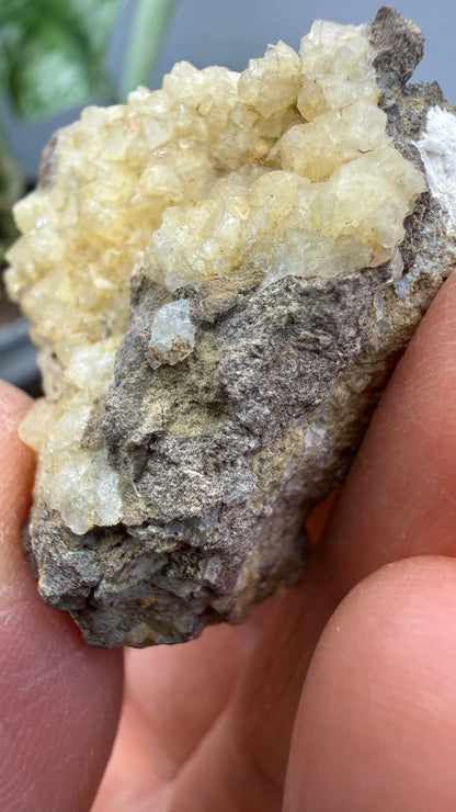 Chabazite- Table Mountain, near Rosarito Beach, Baja California, Mexico