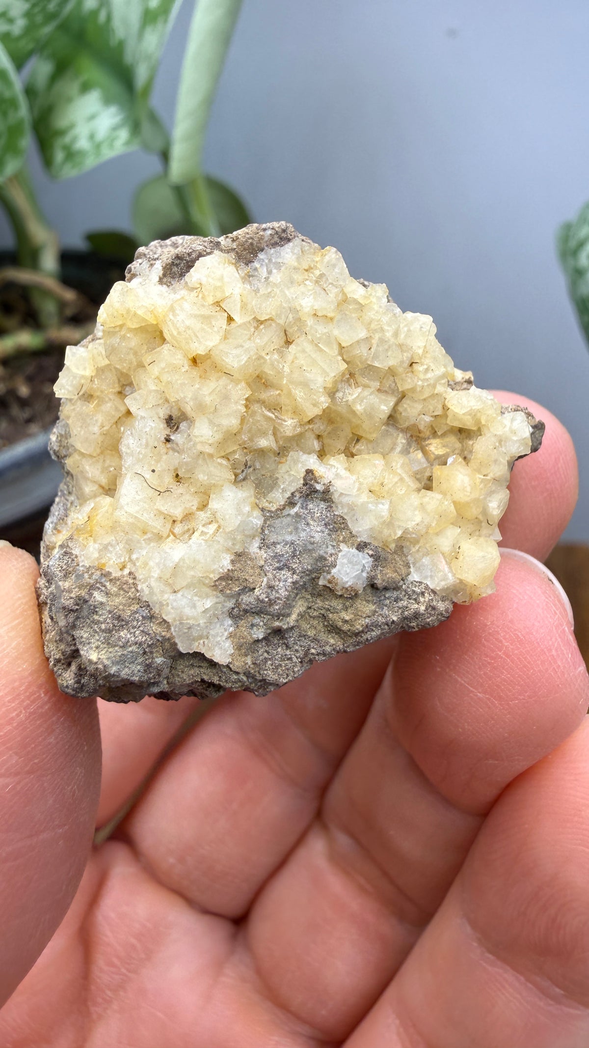 Chabazite- Table Mountain, near Rosarito Beach, Baja California, Mexico