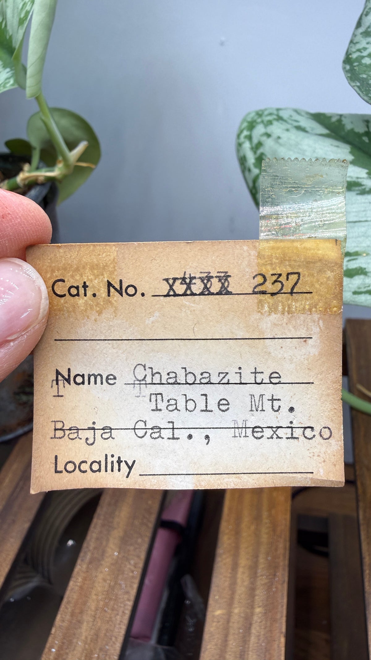 Chabazite- Table Mountain, near Rosarito Beach, Baja California, Mexico