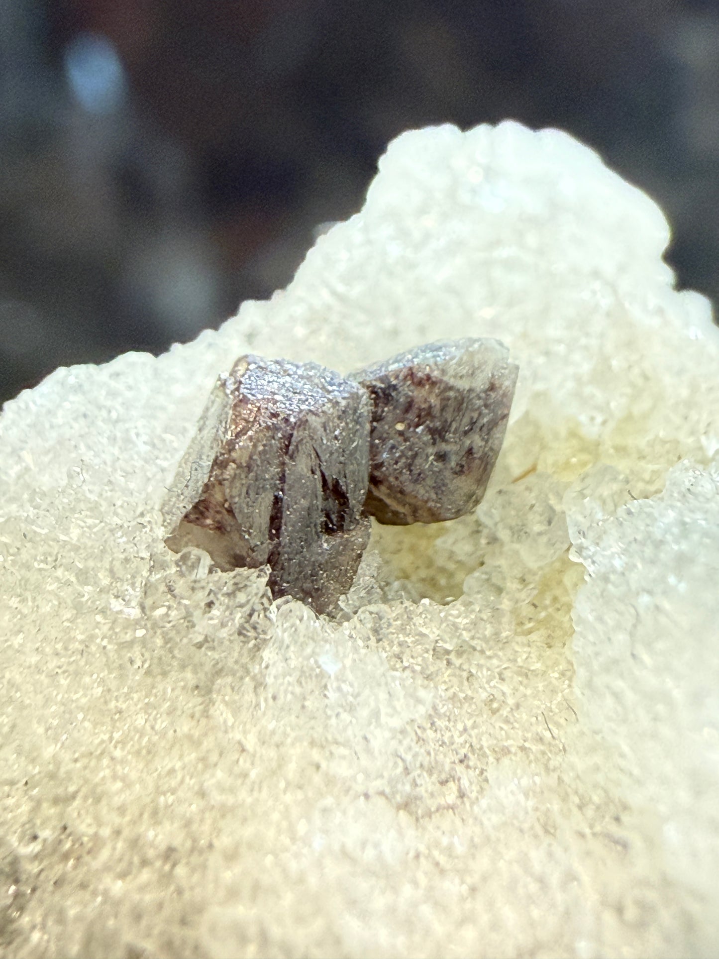 Scheelite, Quartz- Camp Bird Mine, Imogene Basin, Sneffels, Ouray County, Colorado, USA