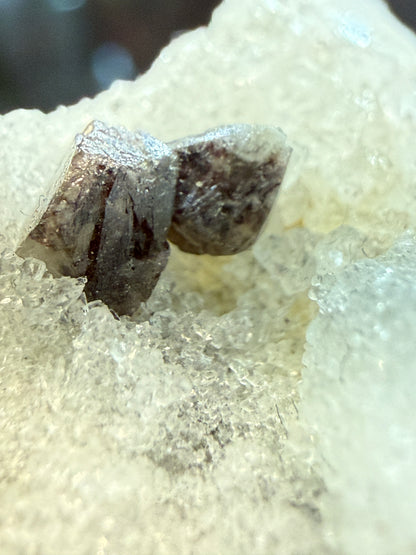 Scheelite, Quartz- Camp Bird Mine, Imogene Basin, Sneffels, Ouray County, Colorado, USA