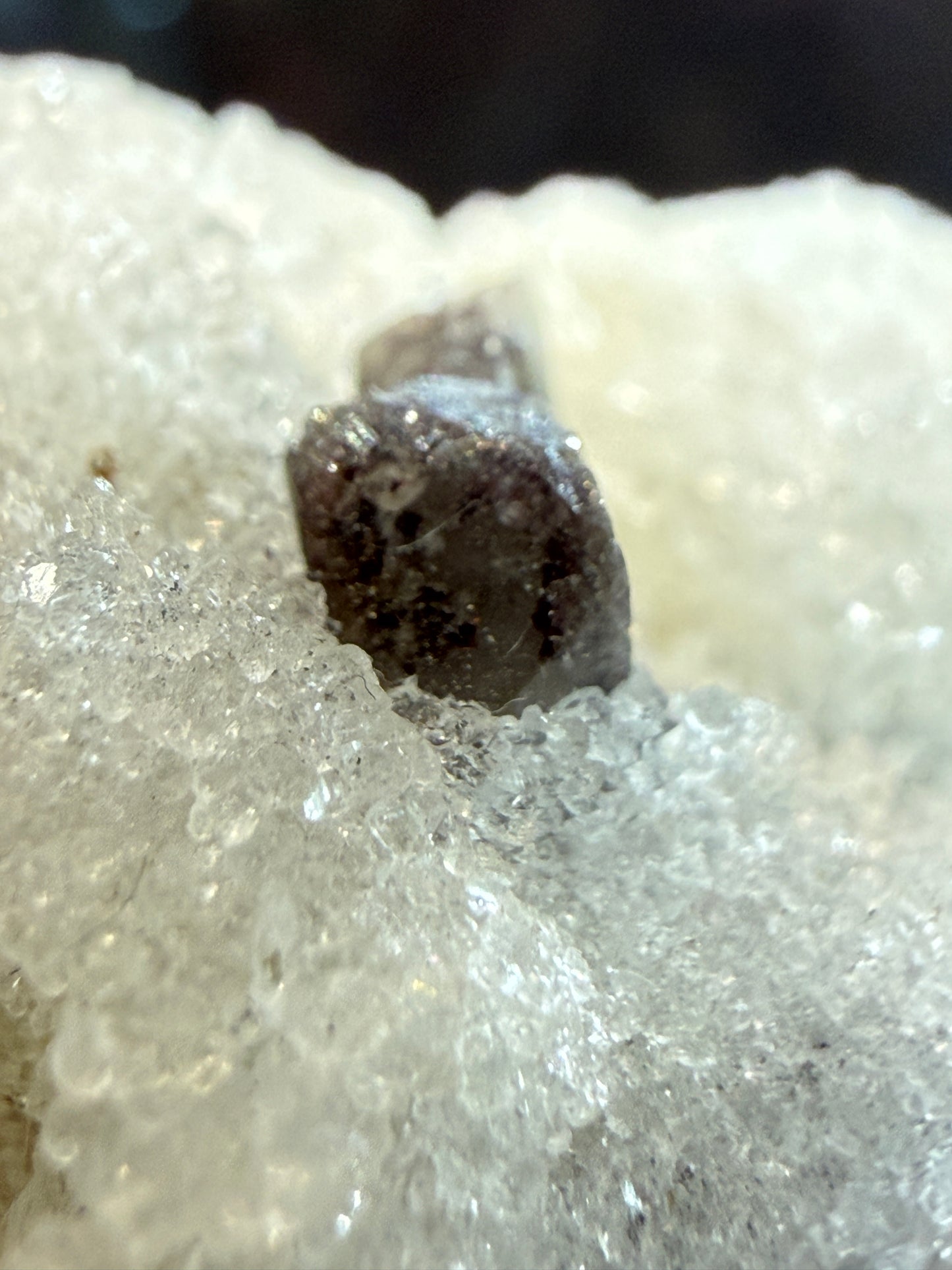 Scheelite, Quartz- Camp Bird Mine, Imogene Basin, Sneffels, Ouray County, Colorado, USA