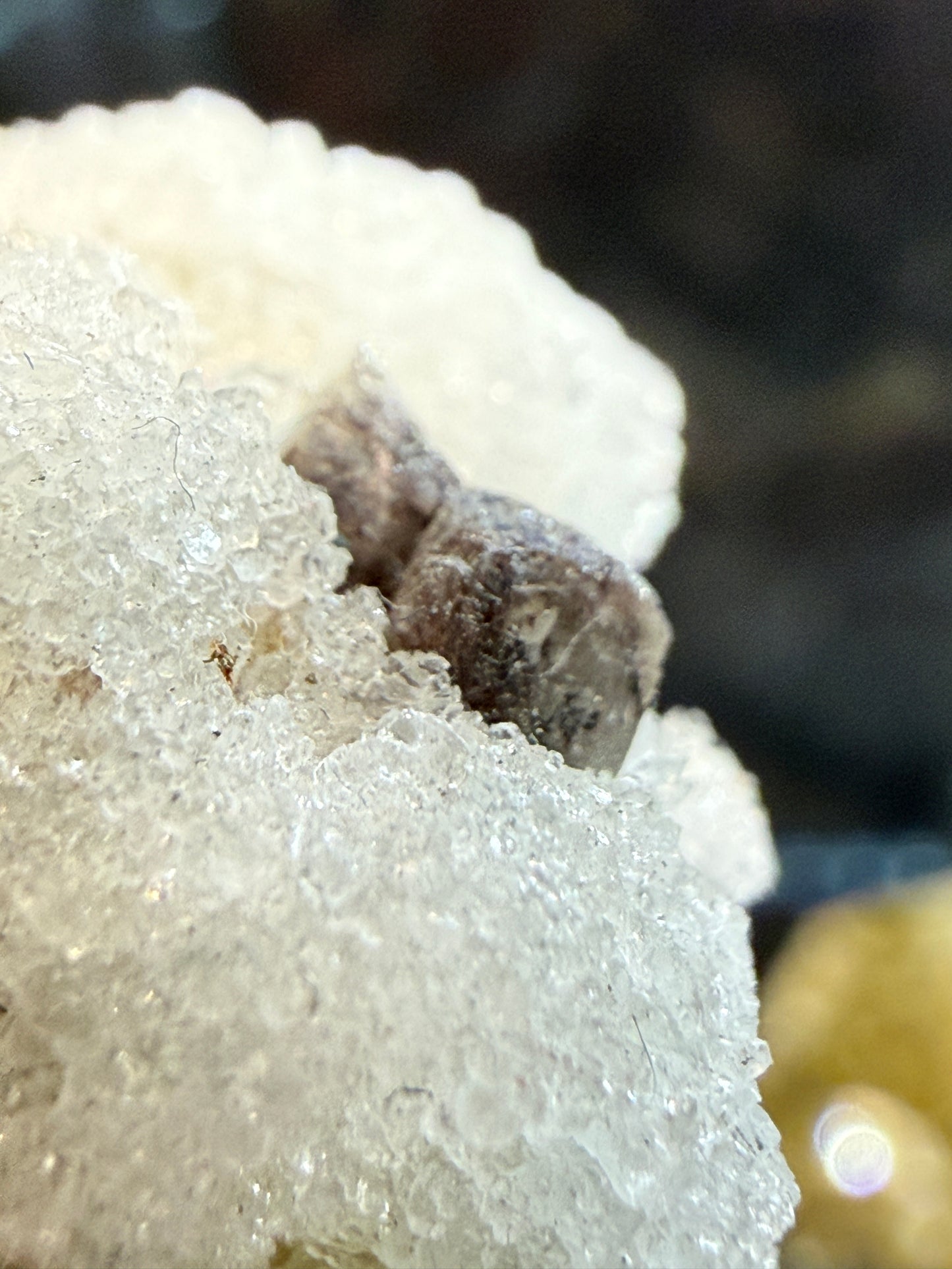 Scheelite, Quartz- Camp Bird Mine, Imogene Basin, Sneffels, Ouray County, Colorado, USA