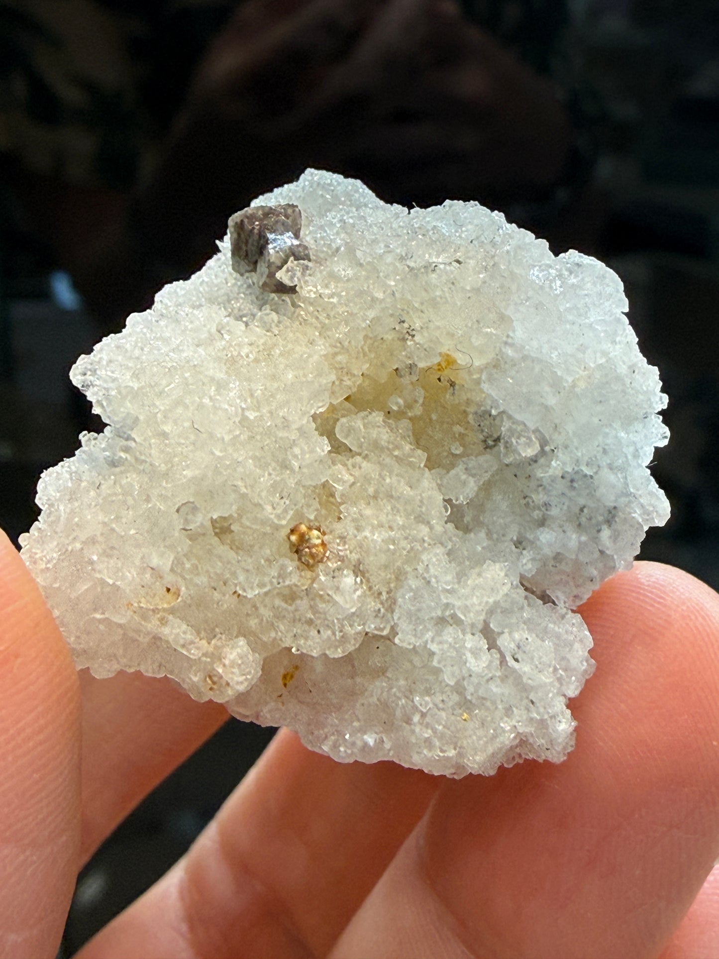 Scheelite, Quartz- Camp Bird Mine, Imogene Basin, Sneffels, Ouray County, Colorado, USA