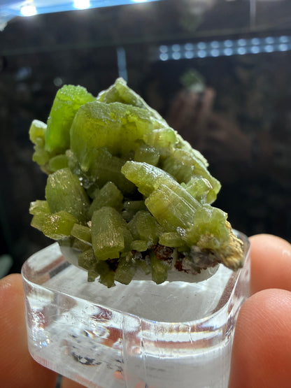 Pyromorphite- Daoping mine, Guangxi Zhuang, China