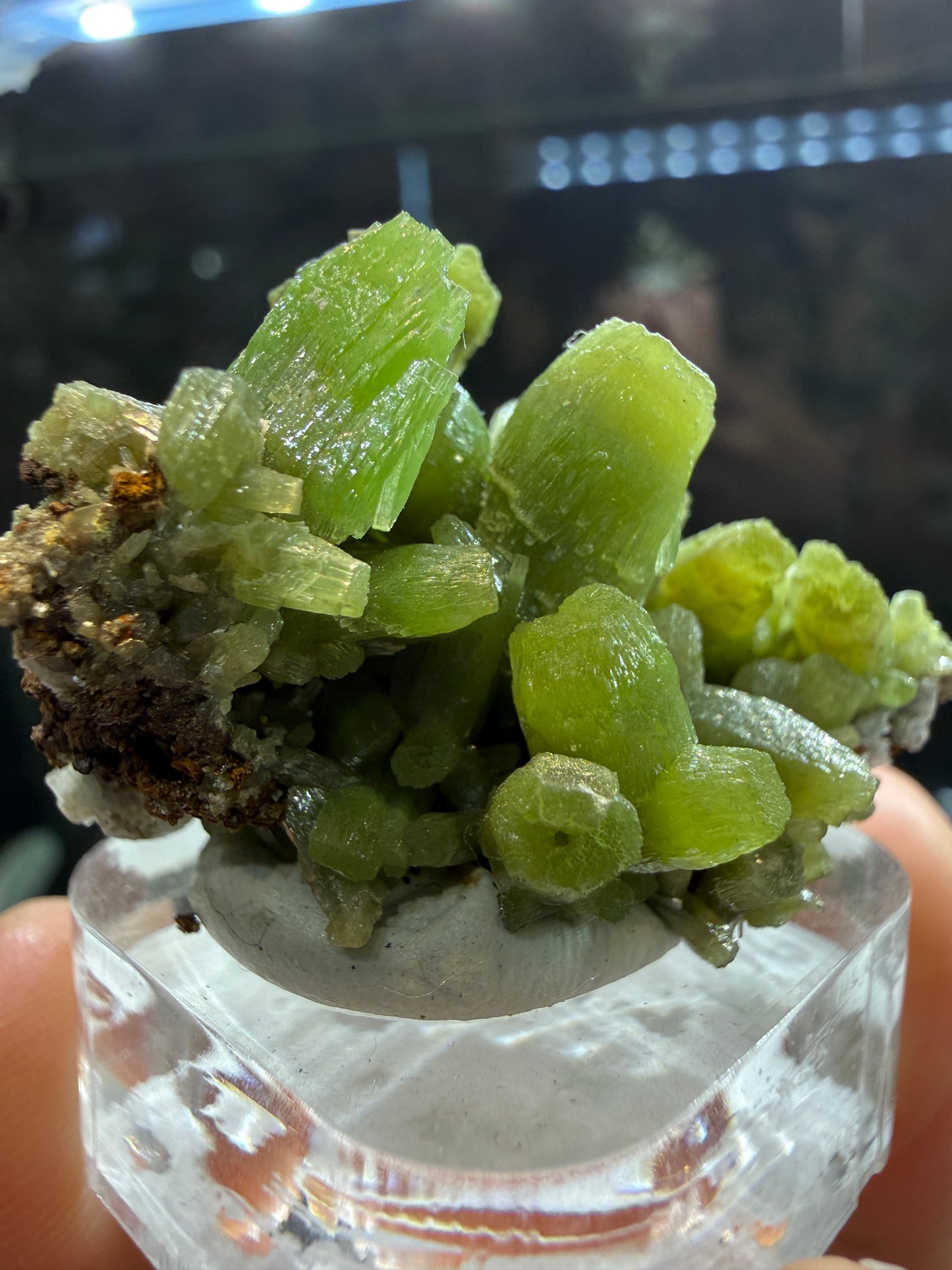 Pyromorphite- Daoping mine, Guangxi Zhuang, China