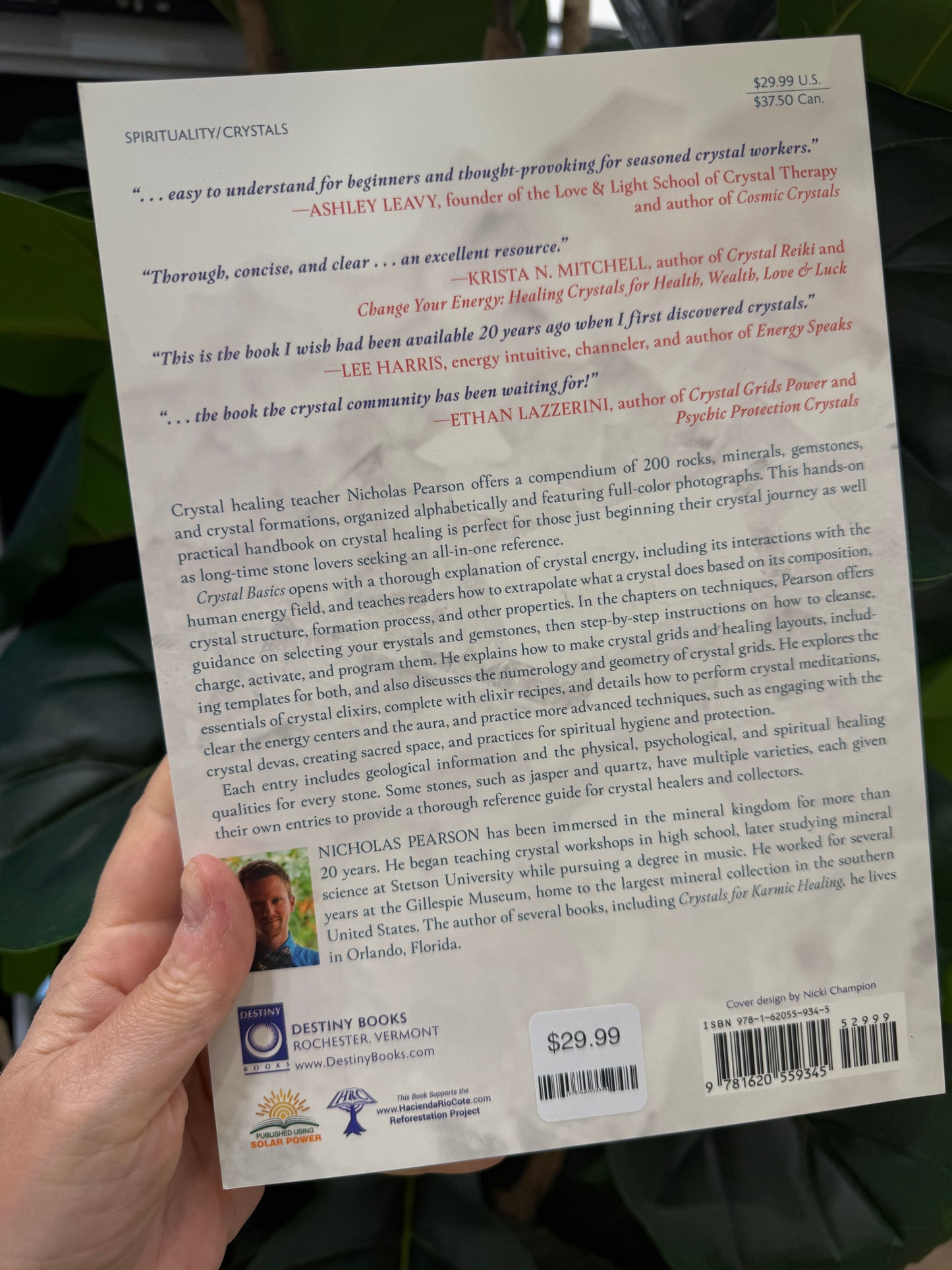 Crystal Basics by Nicholas Pearson paperback