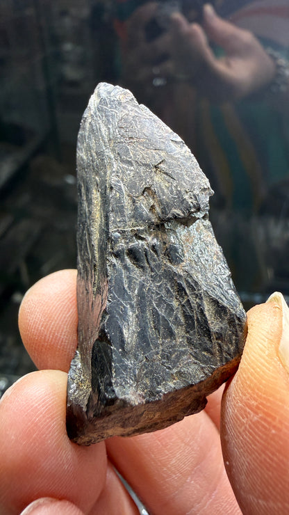 Samarskite-(Y)- Texas Creek, Fremont County, Colorado