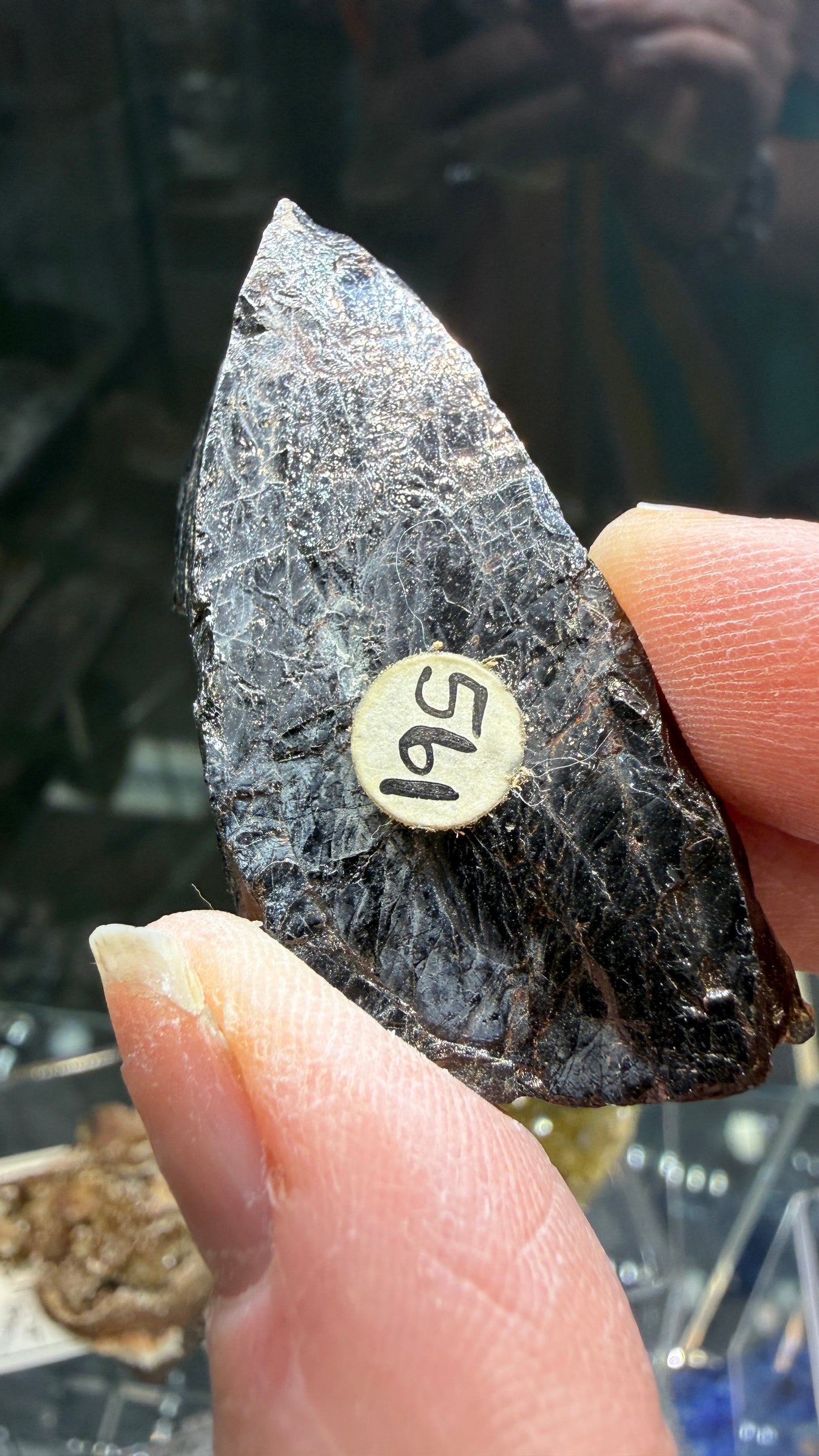 Samarskite-(Y)- Texas Creek, Fremont County, Colorado