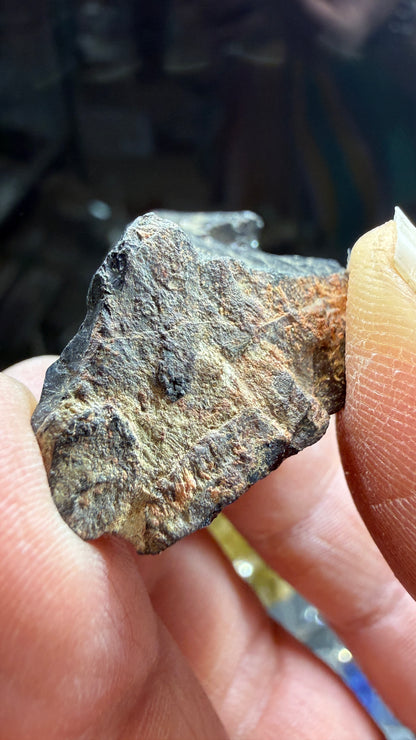 Samarskite-(Y)- Texas Creek, Fremont County, Colorado