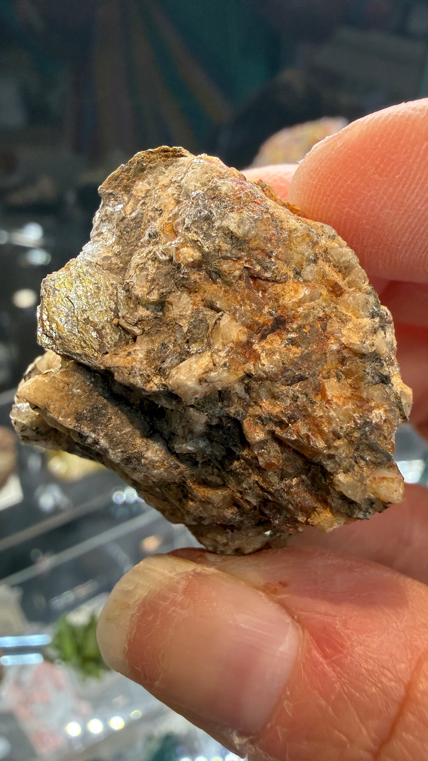 Astrophyllite- St Peters Dome, El Paso County, Colorado, USA