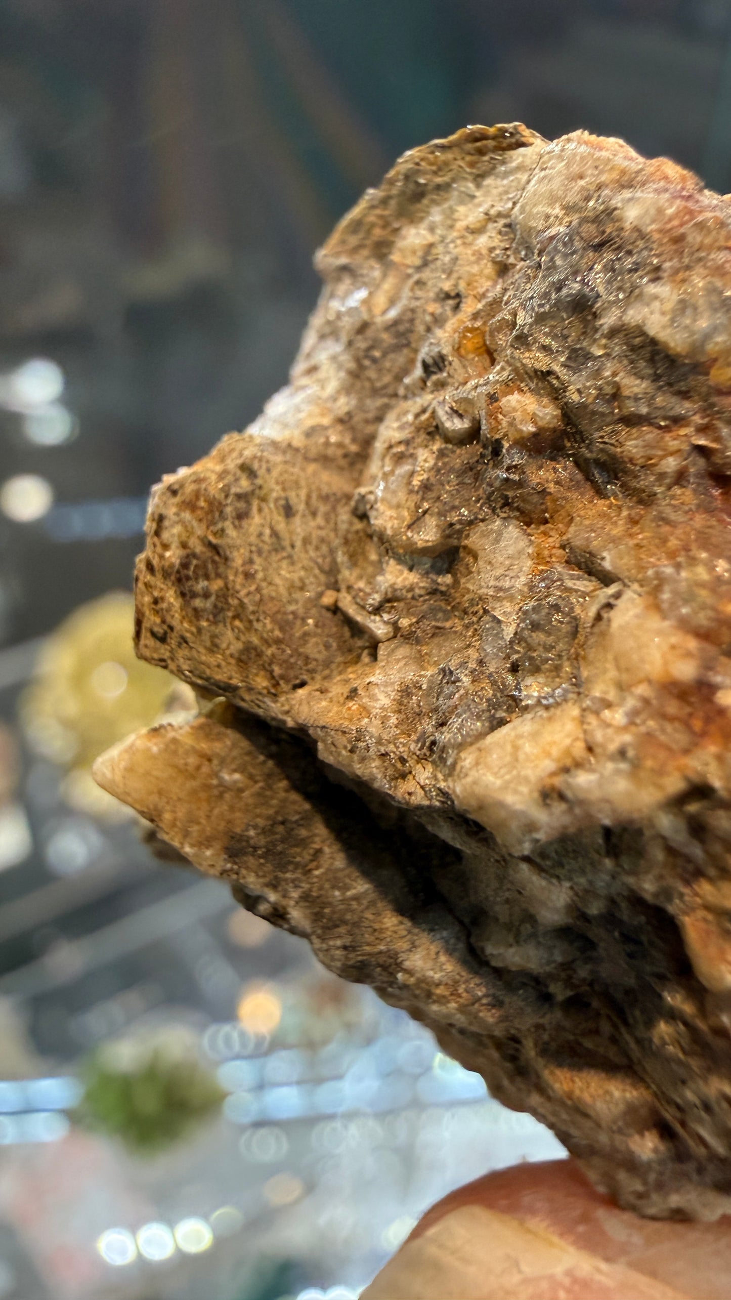 Astrophyllite- St Peters Dome, El Paso County, Colorado, USA