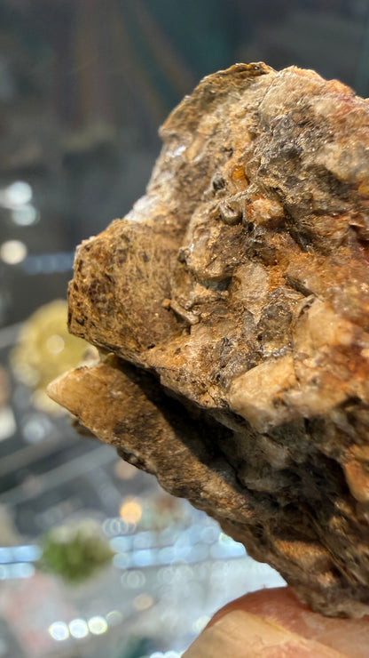 Astrophyllite- St Peters Dome, El Paso County, Colorado, USA