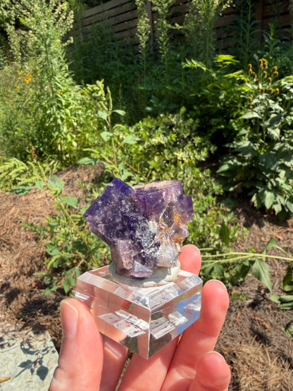 Fluorite - Purple Rain Pocket, Lady Annabella Mine, Eastgate, Weardale, Co. Durham, England