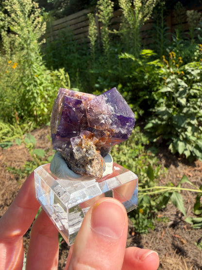 Fluorite - Purple Rain Pocket, Lady Annabella Mine, Eastgate, Weardale, Co. Durham, England