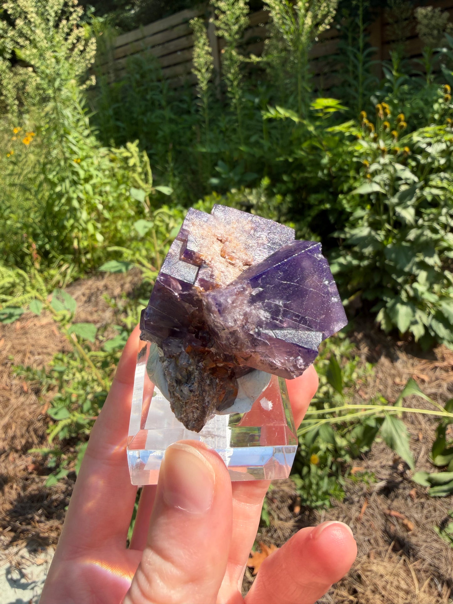 Fluorite - Purple Rain Pocket, Lady Annabella Mine, Eastgate, Weardale, Co. Durham, England
