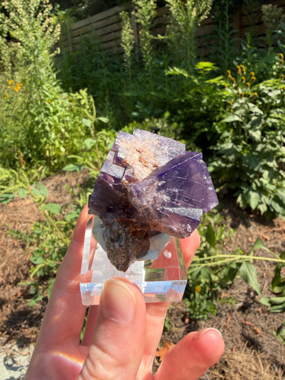 Fluorite - Purple Rain Pocket, Lady Annabella Mine, Eastgate, Weardale, Co. Durham, England