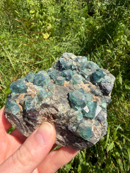 Fluorite - Hidden Forest Pocket, Diana Maria Mine, Frosterley, Weardale, Co. Durham, England
