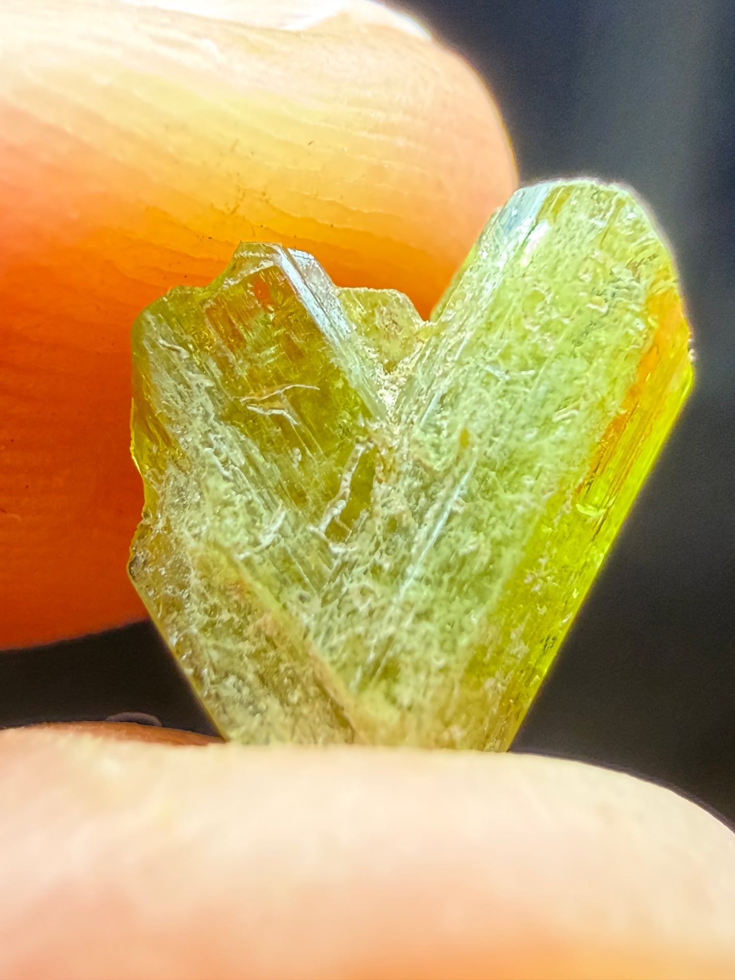 Chrysoberyl Twin- Ampanorana East, Ambatondrazaka, Alaotra-Mangoro, Madagascar