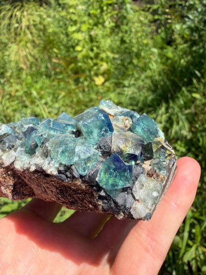 Fluorite - Hidden Forest Pocket, Diana Maria Mine, Frosterley, Weardale, Co. Durham, England