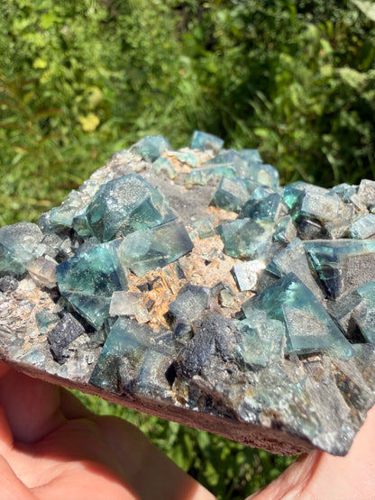 Fluorite - Hidden Forest Pocket, Diana Maria Mine, Frosterley, Weardale, Co. Durham, England