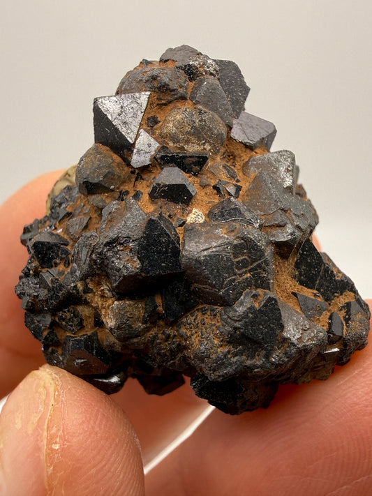 Perovskite, Magnetite- Magnet Cove, Hot Spring County, Arkansas