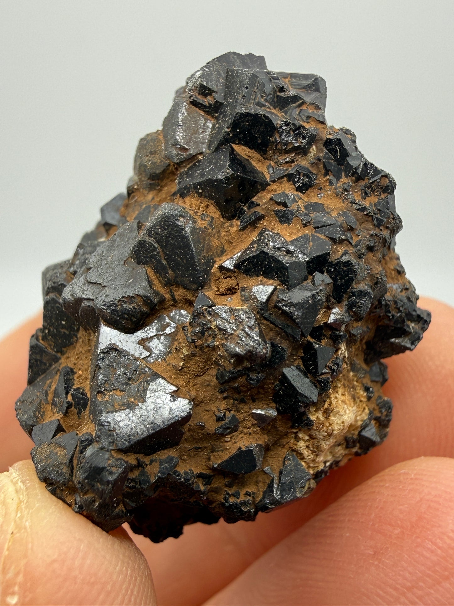 Perovskite, Magnetite- Magnet Cove, Hot Spring County, Arkansas