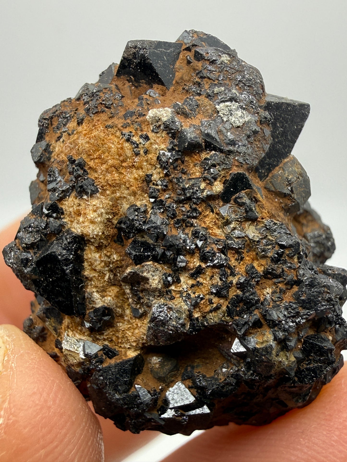 Perovskite, Magnetite- Magnet Cove, Hot Spring County, Arkansas