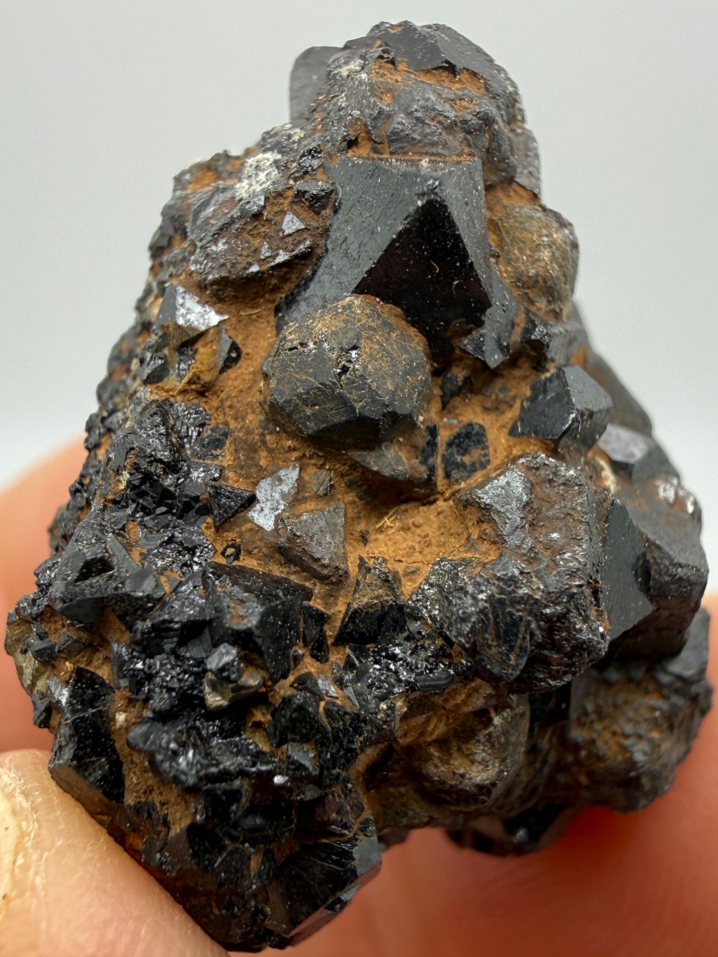 Perovskite, Magnetite- Magnet Cove, Hot Spring County, Arkansas