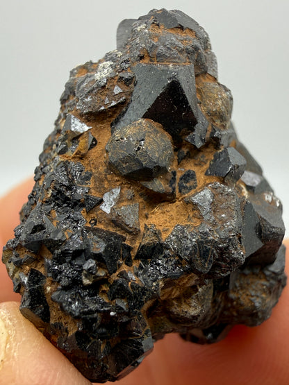 Perovskite, Magnetite- Magnet Cove, Hot Spring County, Arkansas