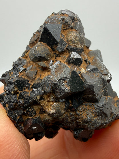 Perovskite, Magnetite- Magnet Cove, Hot Spring County, Arkansas
