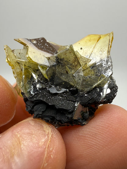 Wulfenite- Glove Mine, Cottonwood Canyon, Santa Cruz County, Arizona, USA