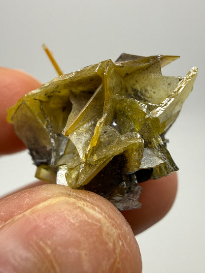 Wulfenite- Glove Mine, Cottonwood Canyon, Santa Cruz County, Arizona, USA