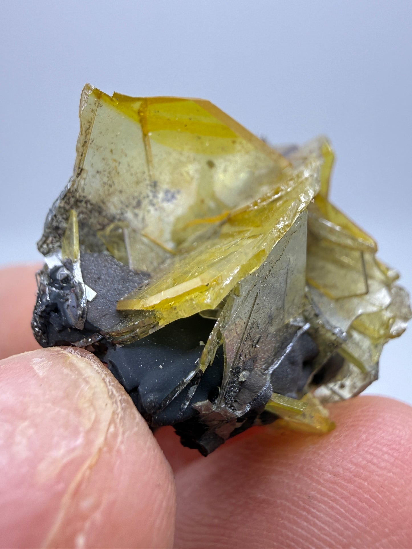 Wulfenite- Glove Mine, Cottonwood Canyon, Santa Cruz County, Arizona, USA