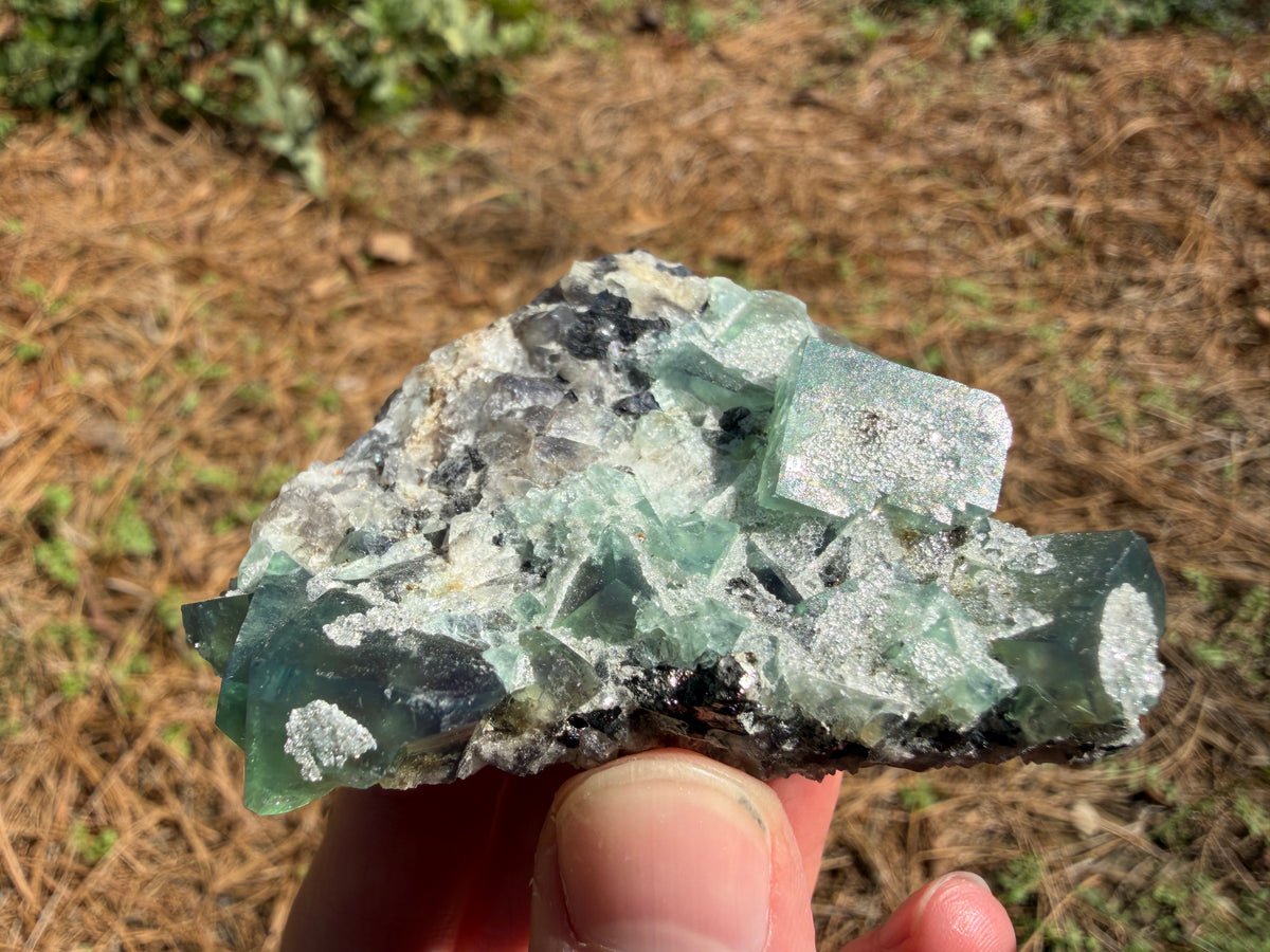 Fluorite - River Catcher Vein, Northern Lights Pocket, Diana Maria Mine, Frosterley, Weardale, Co. Durham, England