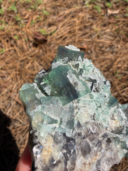 Fluorite - River Catcher Vein, Northern Lights Pocket, Diana Maria Mine, Frosterley, Weardale, Co. Durham, England