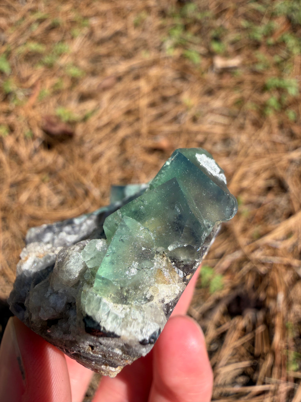 Fluorite - River Catcher Vein, Northern Lights Pocket, Diana Maria Mine, Frosterley, Weardale, Co. Durham, England