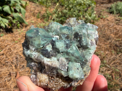 Fluorite - River Catcher Vein, Northern Lights Pocket, Diana Maria Mine, Frosterley, Weardale, Co. Durham, England