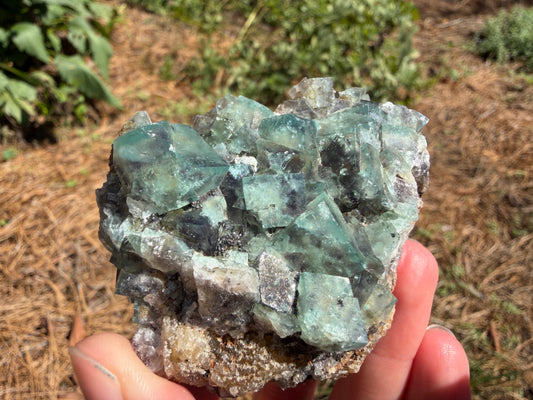 Fluorite - River Catcher Vein, Northern Lights Pocket, Diana Maria Mine, Frosterley, Weardale, Co. Durham, England