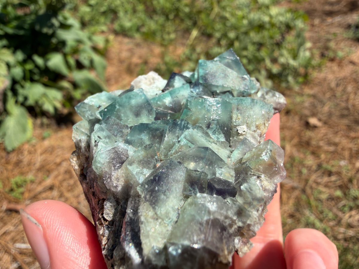 Fluorite - River Catcher Vein, Northern Lights Pocket, Diana Maria Mine, Frosterley, Weardale, Co. Durham, England