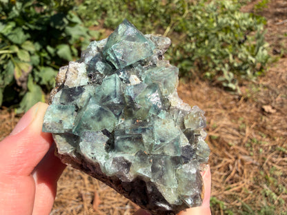 Fluorite - River Catcher Vein, Northern Lights Pocket, Diana Maria Mine, Frosterley, Weardale, Co. Durham, England