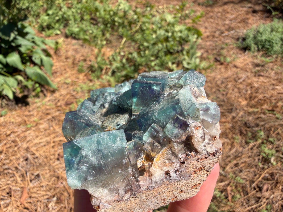 Fluorite - Hidden Forest Pocket, Diana Maria Mine, Frosterley, Weardale, Co. Durham, England
