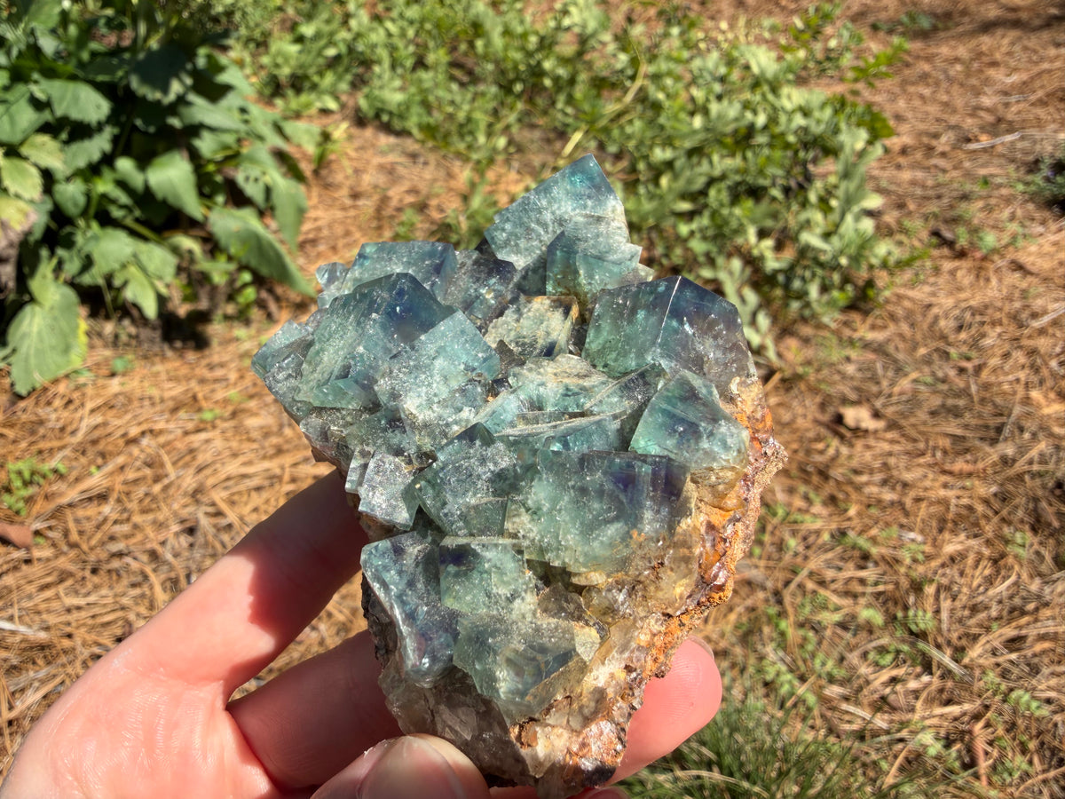 Fluorite - Hidden Forest Pocket, Diana Maria Mine, Frosterley, Weardale, Co. Durham, England