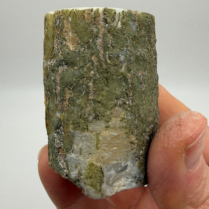 Limb Cast, Agatized Wood- Wiggin's Fork, Wyoming