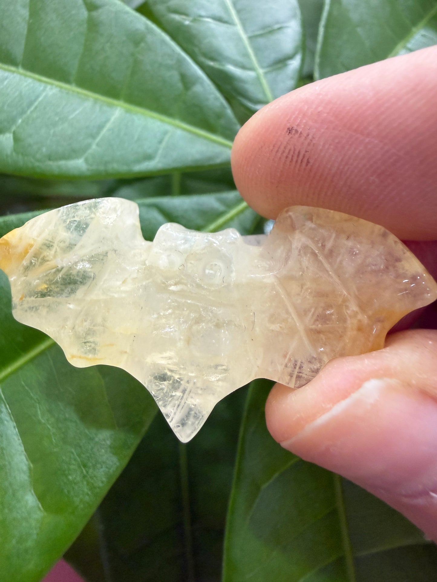 Bats- Small Polished Flat