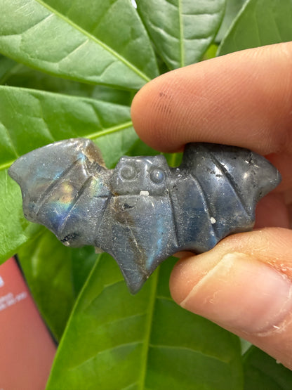 Bats- Small Polished Flat